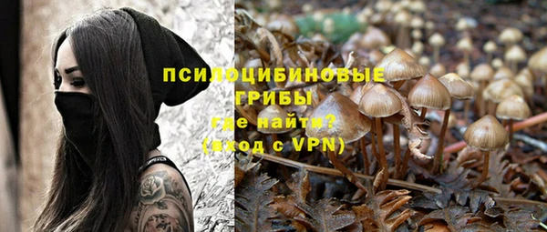 ешки Верея