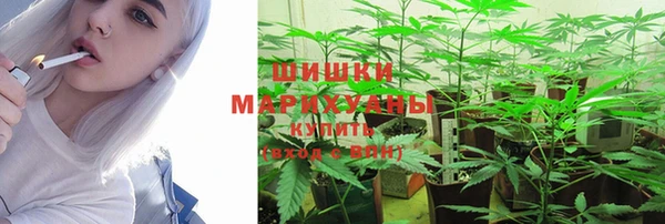 ешки Верхний Тагил