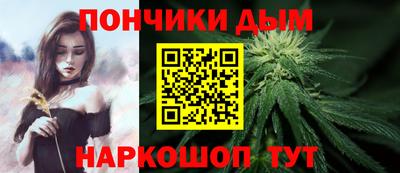 индика Дубна