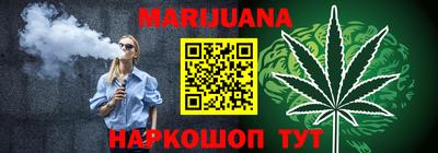 индика Дубна