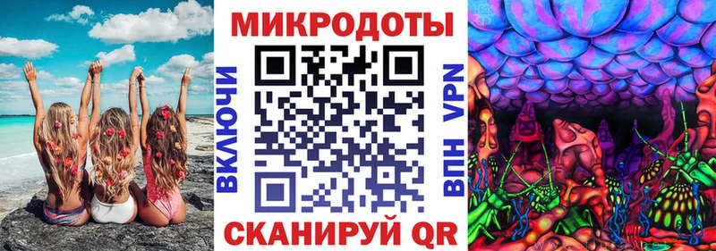 Галлюциногенные грибы Psilocybine cubensis  Сургут 