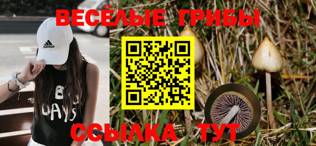 Галлюциногенные грибы ЛСД  дарнет шоп  Вход с VPN  Сургут  Галлюциногенные грибы Psilocybe 