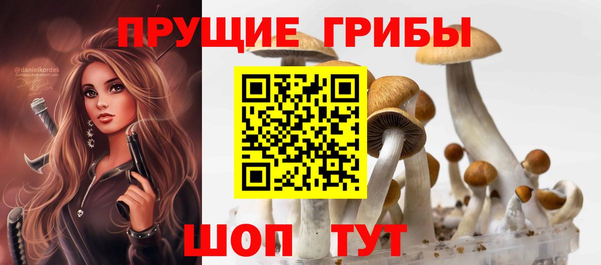 Галлюциногенные грибы прущие грибы Сургут